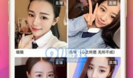 91直播软件下载大全,一站式获取热门直播平台