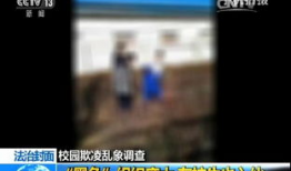 色老大视频,视频内容深度解析